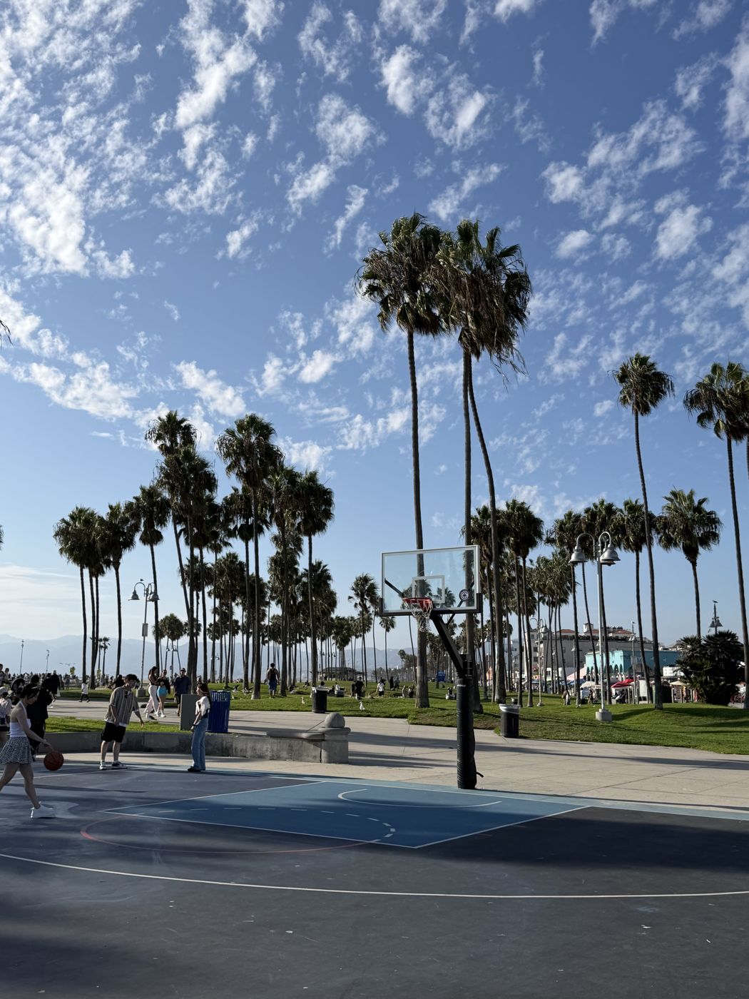 Basketball hoops on the Venice Beach courts under tall palm trees and a blue sky